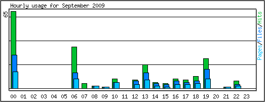 Hourly usage