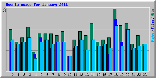 Hourly usage for January 2011